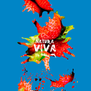 ดาวน์โหลดและฟังเพลง Carnival Chaos (Ramon Tapia Remix) พร้อมเนื้อเพลงจาก DJ Madskillz