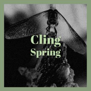Album Cling Spring oleh Various