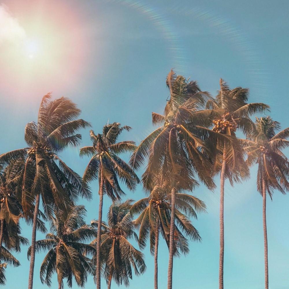 Good Day(feat. Samuel lovelock)(Electric Version)