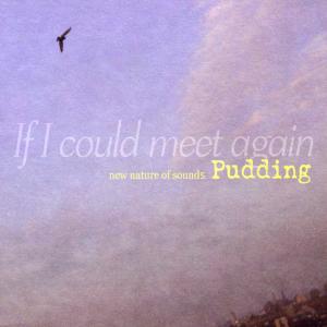 收听푸딩 (Pudding)的Can I Leave You Now?歌词歌曲