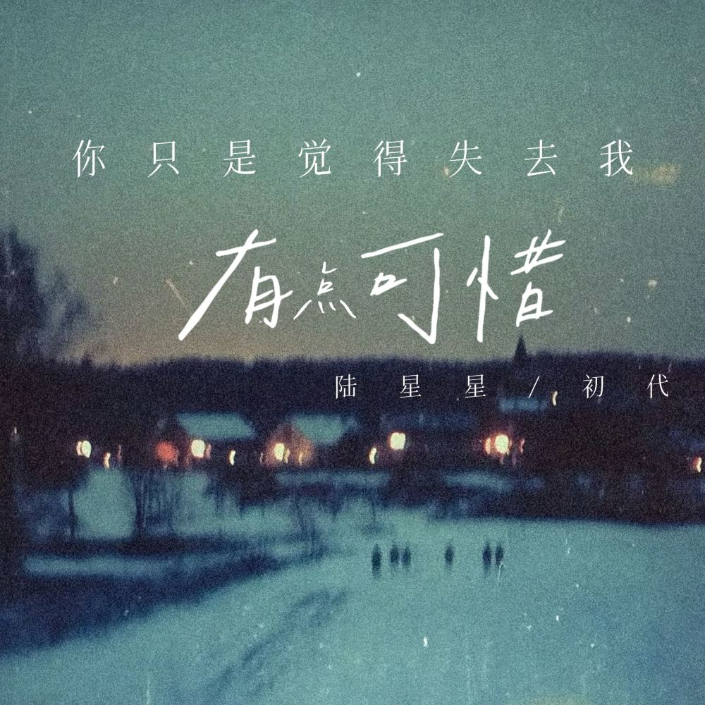 你只是觉得失去我有点可惜