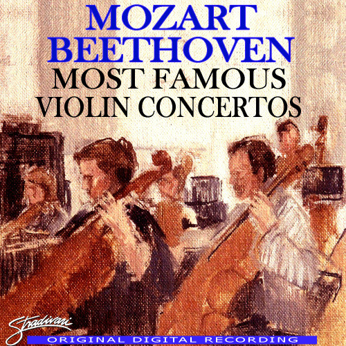 Violin Concerto No. 2 in D Major K. 211: I. Allegro moderato