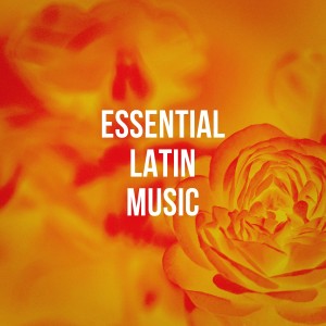 Bachata Heightz的專輯Essential Latin Music