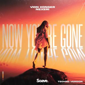 Album Now You're Gone (Techno Version) from Vion Konger