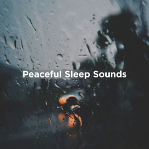 Listen to Ambient Rain & White Noise song with lyrics from Relaxing Rain Sounds