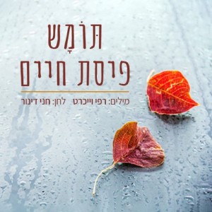 收聽תומש的פיסת חיים歌詞歌曲