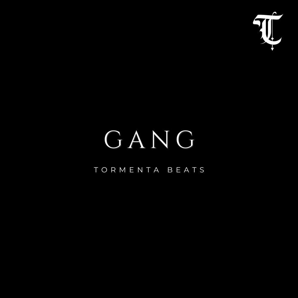 GANG (Boom Bap Instrumental)
