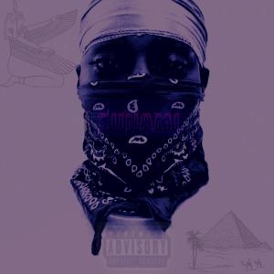 TROYSUNAMI的專輯FM$ (Explicit)