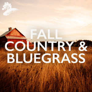 Jack Jezzro的專輯Fall Country & Bluegrass
