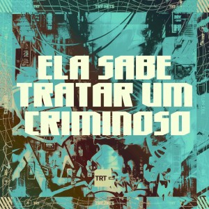 ดาวน์โหลดและฟังเพลง ELA SABE TRATAR UM CRIMINOSO (Explicit) พร้อมเนื้อเพลงจาก TRT HITS