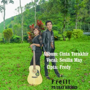 Dengarkan lagu Terdiam Mencintaimu nyanyian Freill dengan lirik
