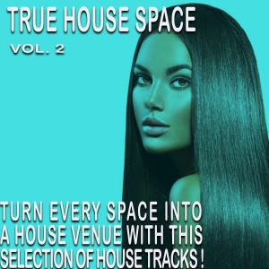 Album The House Space, Vol. 2 from Various