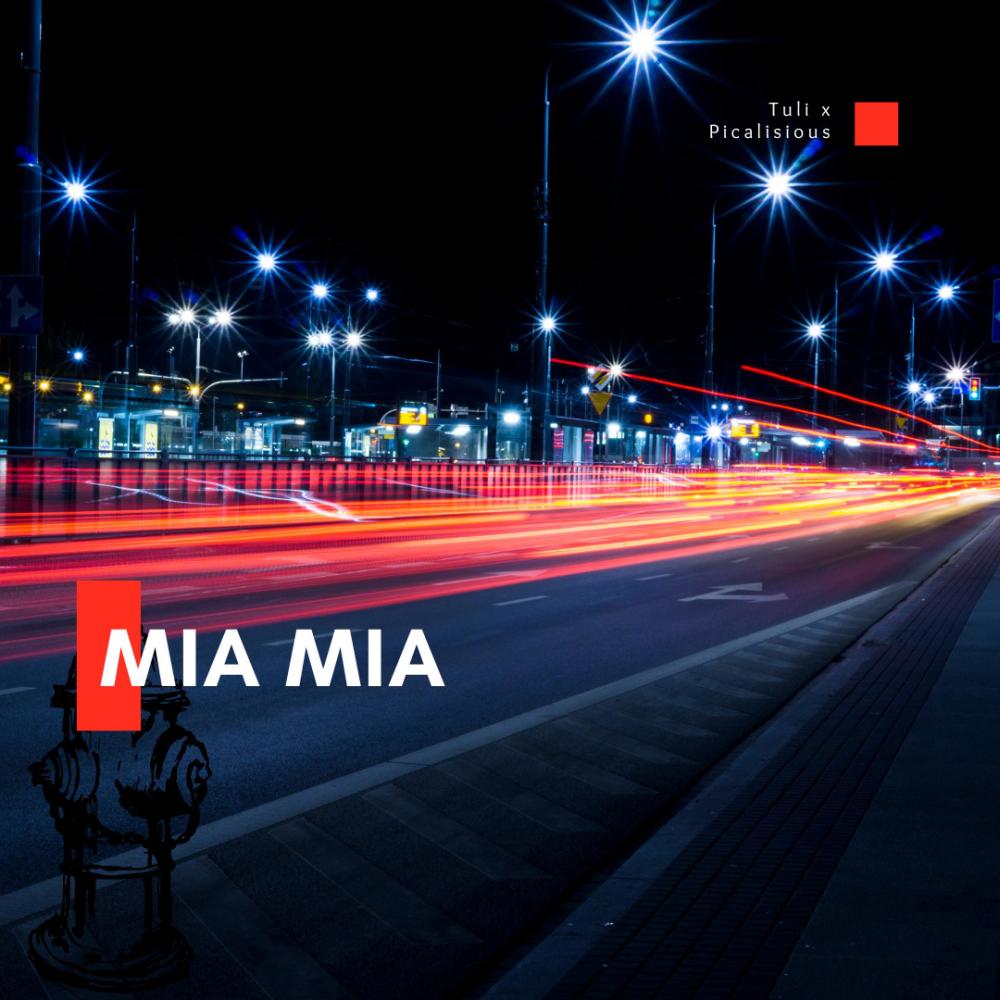 MIA MIA (feat. picalisious)