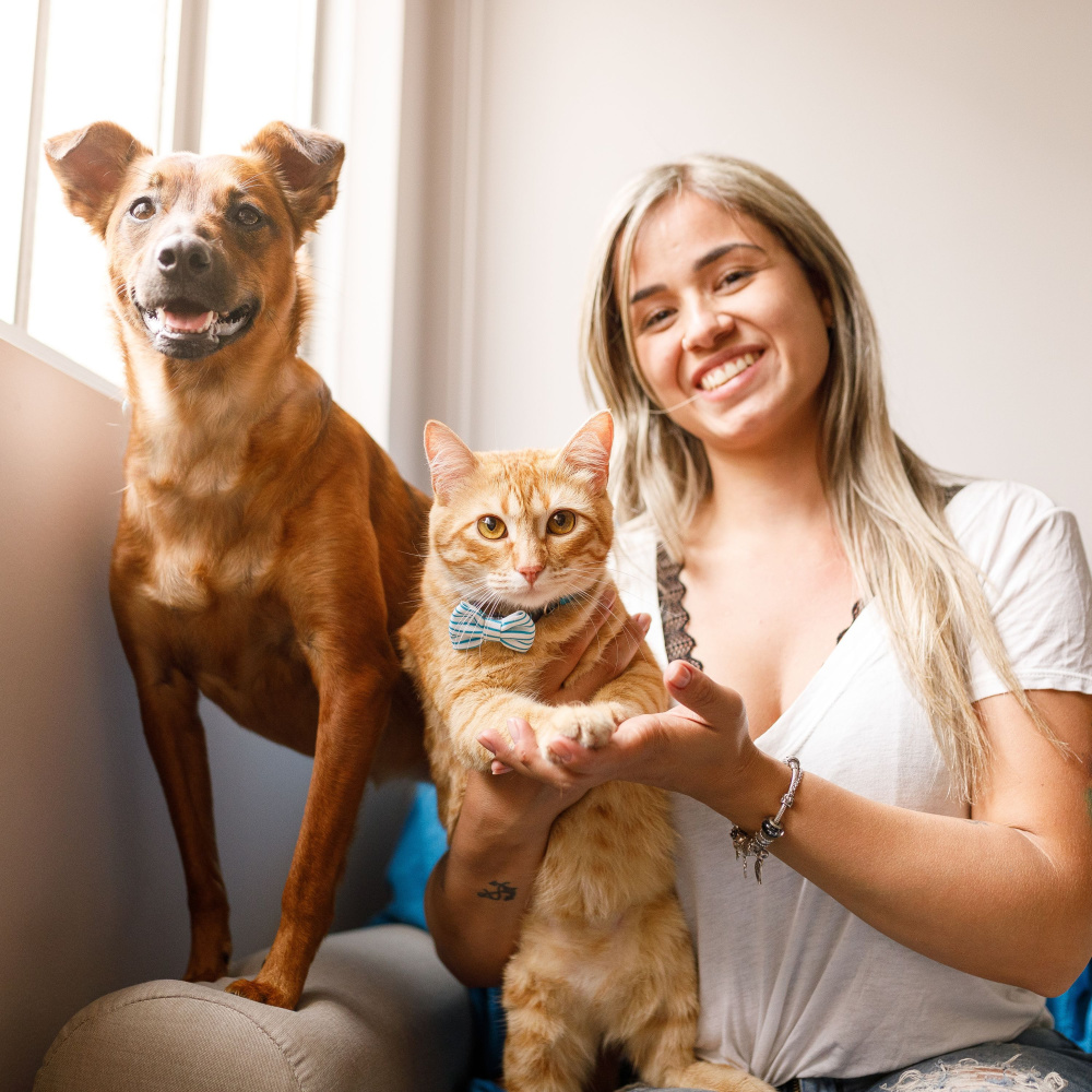 Jazz Pet Harmony and Joy