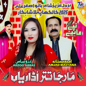 Listen to Maar Ja Titar Udariyan song with lyrics from Amjad Mastana