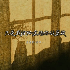 Album 只是我恰好途径你的盛放 from 吴瑞斯