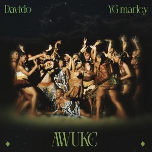 DaVido的專輯Awuke (ADP Club Mix)