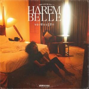 Album ขอเพียงรู้สึก from Harem Belle