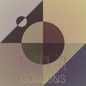 Various Artists的專輯Kala Gorgons