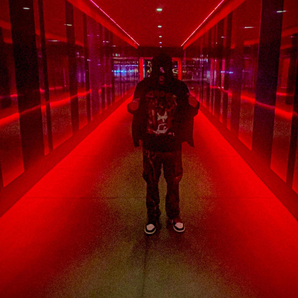 Fly (Explicit)