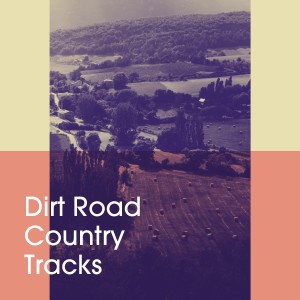 Listen to Ode to Billy Joe song with lyrics from Amarillo Sweethearts