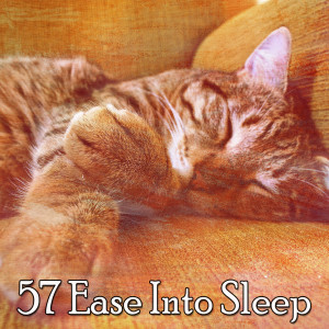 收聽White Noise For Baby Sleep的Free Rest歌詞歌曲