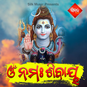 Listen to Omm Namha Sivaya Pt. 2 song with lyrics from Sanghamitra