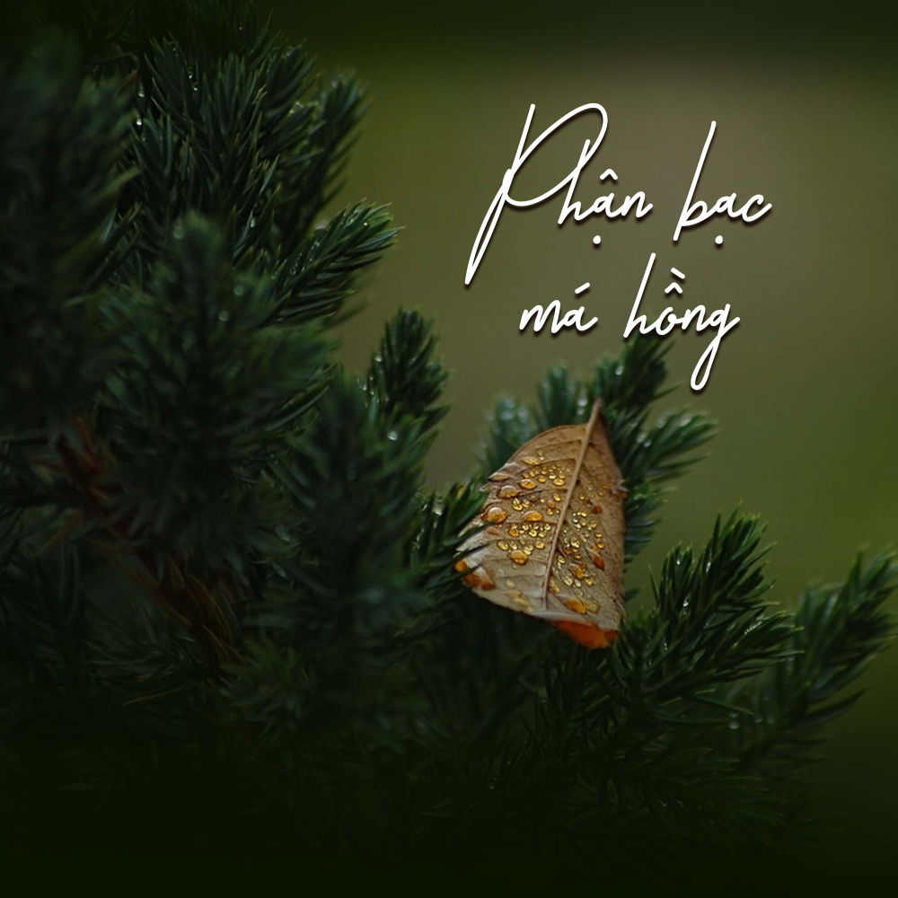 Chuyến Tàu Hoàng Hôn