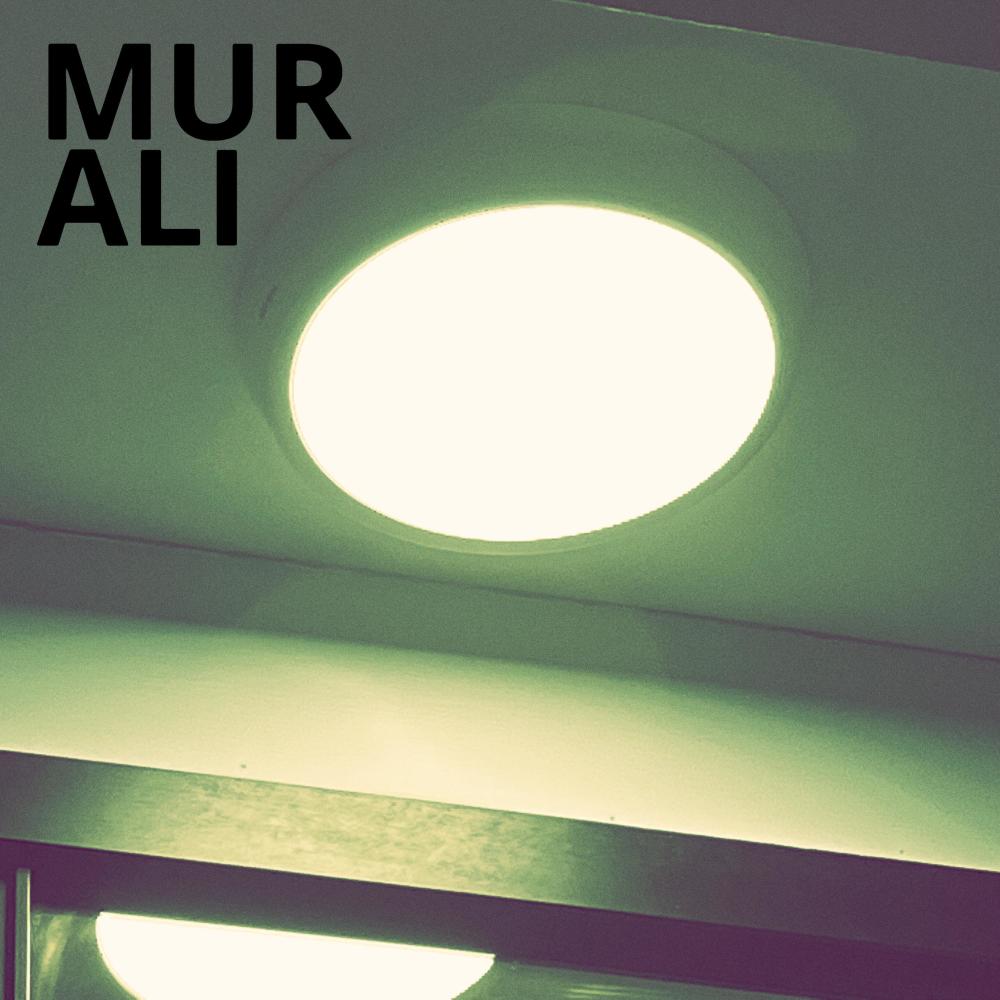 Ali