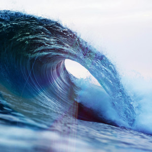 Album Don't Fight the Waves (Explicit) from Reese Weil