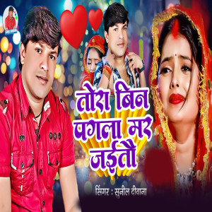 Album Tora Bin Pagla Mar Jaitau from Sunil Diwana