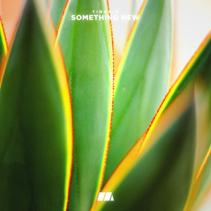 收听Tinorio的Something New歌词歌曲