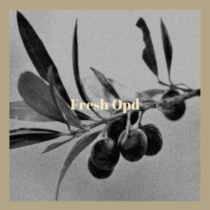 อัลบัม Fresh Opd ศิลปิน Various