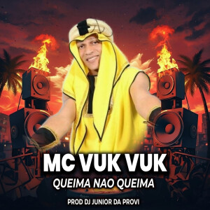 Dj Junior da Provi的专辑Queima não queima (Explicit)