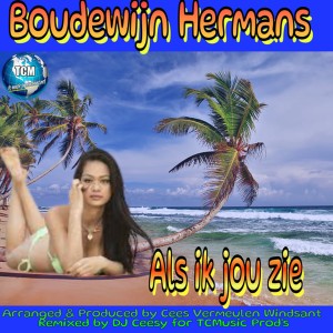 Boudewijn Hermans的專輯Als Ik Jou Zie (Dan Raak Ik van M'n Stuk)