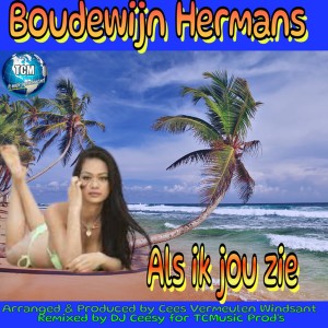 收聽Boudewijn Hermans的Als Ik Jou Zie (Dan Raak Ik van M'n Stuk)歌詞歌曲