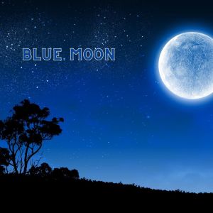 Various Artists的專輯Blue Moon