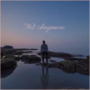 Album Not Anymore from Various