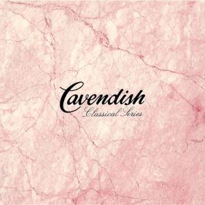 收聽Slovak Philharmonic Orchestra的Ⅳ. Allegro歌詞歌曲