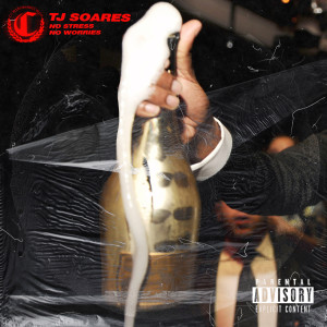 Listen to In the Rain (Explicit) song with lyrics from TJ Soares