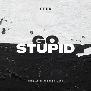 Teek的专辑Go Stupid