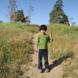 Brad Laner的專輯Natural Selections