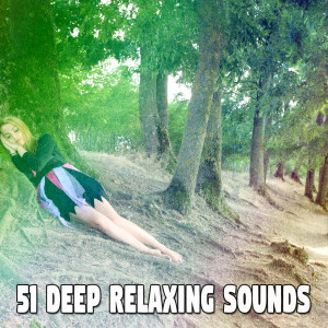 Dengarkan Trial of Sleep lagu dari Rest & Relax Nature Sounds Artists dengan lirik