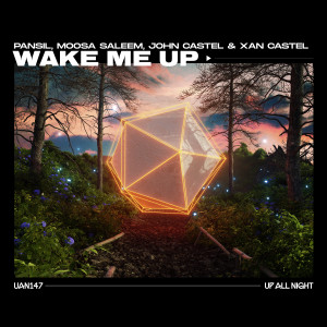 Album Wake Me Up from Pansil