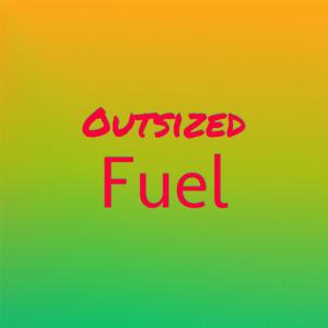 Album Outsized Fuel from Various