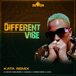 DJ Seven Worldwide的專輯Kata (Remix)