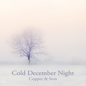 Copper的专辑Cold December Night