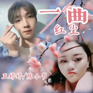 Album 一曲红尘 from 王婷婷