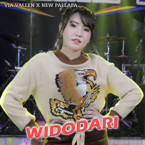 Dengarkan Widodari lagu dari Via Vallen dengan lirik