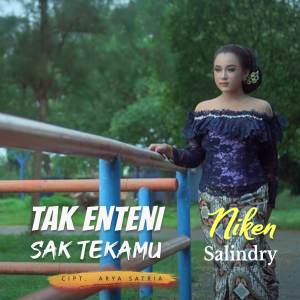 Dengarkan Tak Enteni Sak Tekamu lagu dari Niken Salindry dengan lirik